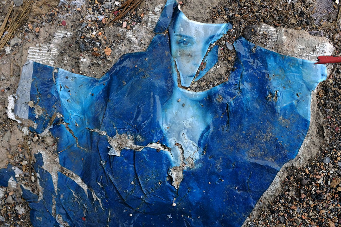 2017- Lay Lady Blue DSCF3370.jpg