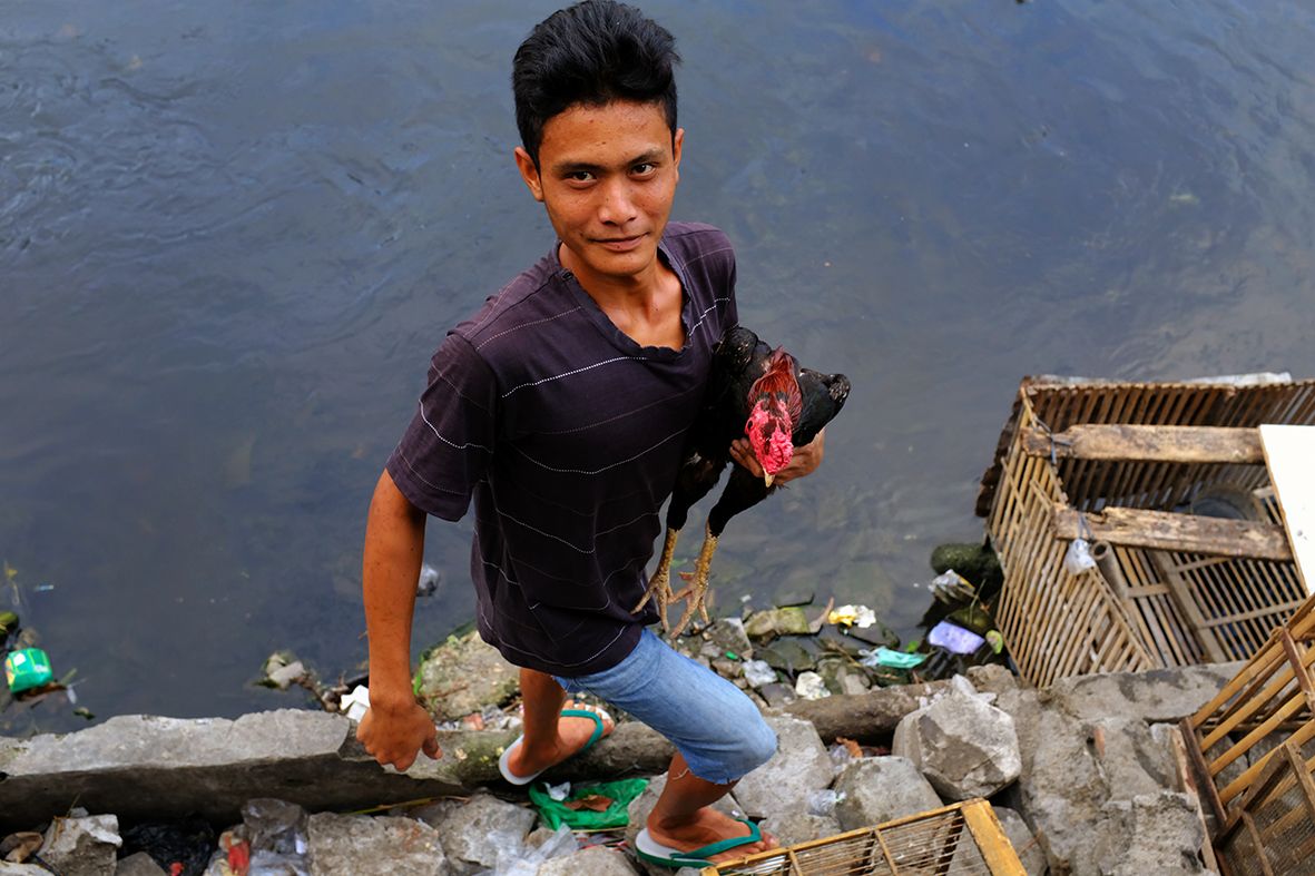 Crossing the River with my Rooster DSCF6184.jpg