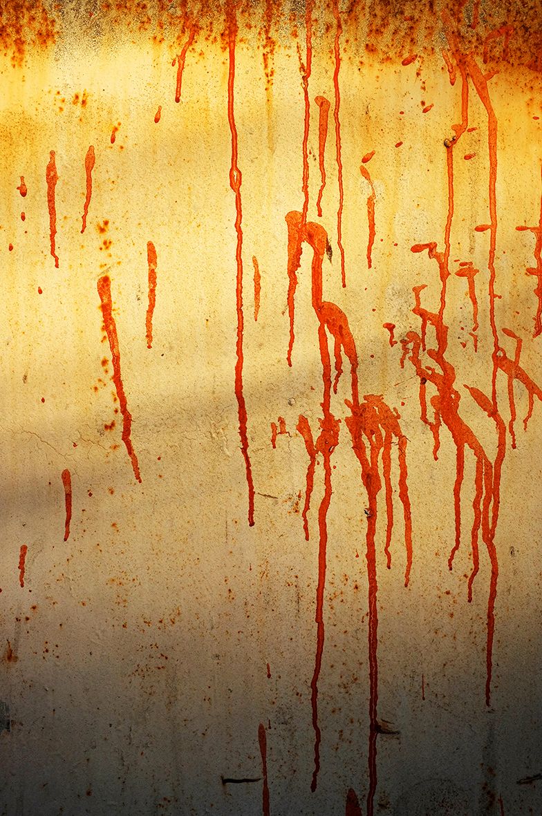 Flamingos In The Sunset DSCF5158.jpg