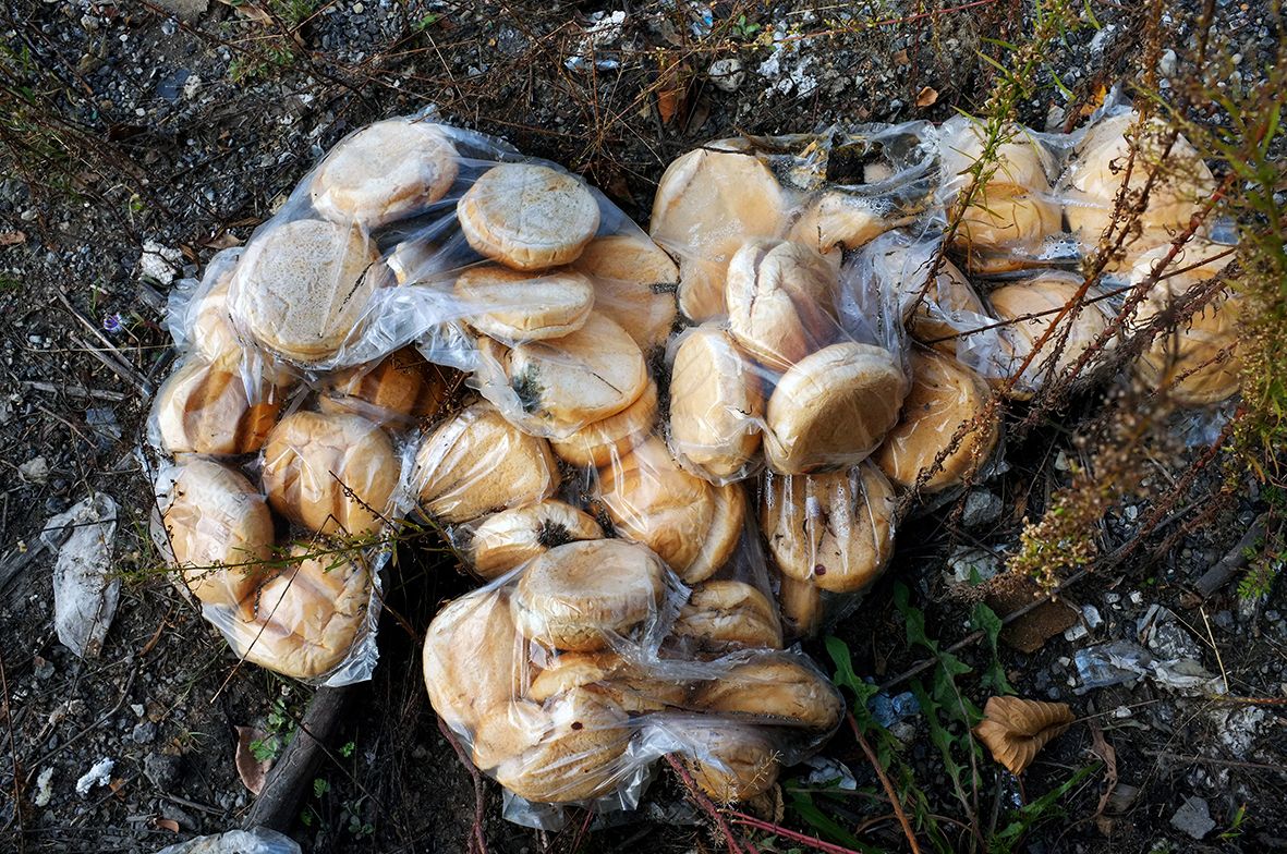 Bread & Rolls DSCF1780.jpg