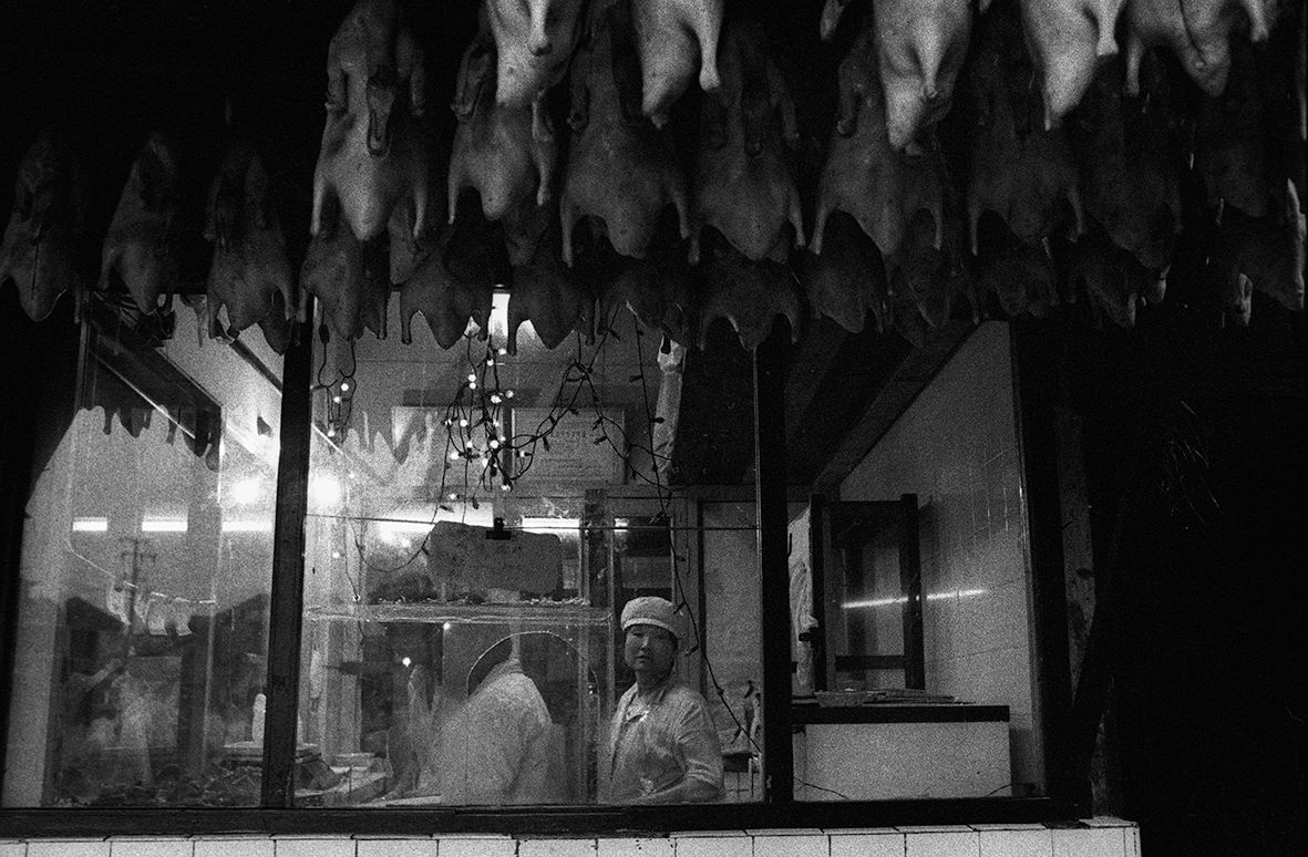 Roasted Duck Shanghai 1993 F115 P10.jpg