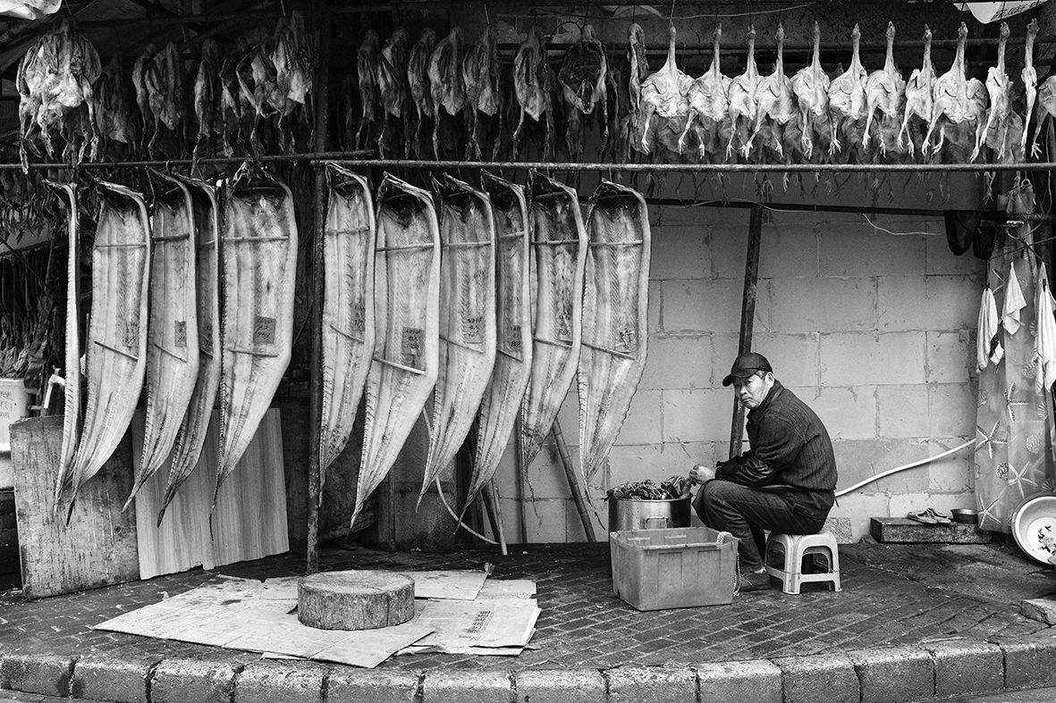 The Year of the Pig Is Coming DSCF0342.jpg