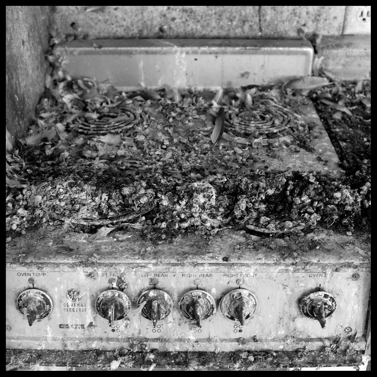 The Landmark DSCF6798.jpg