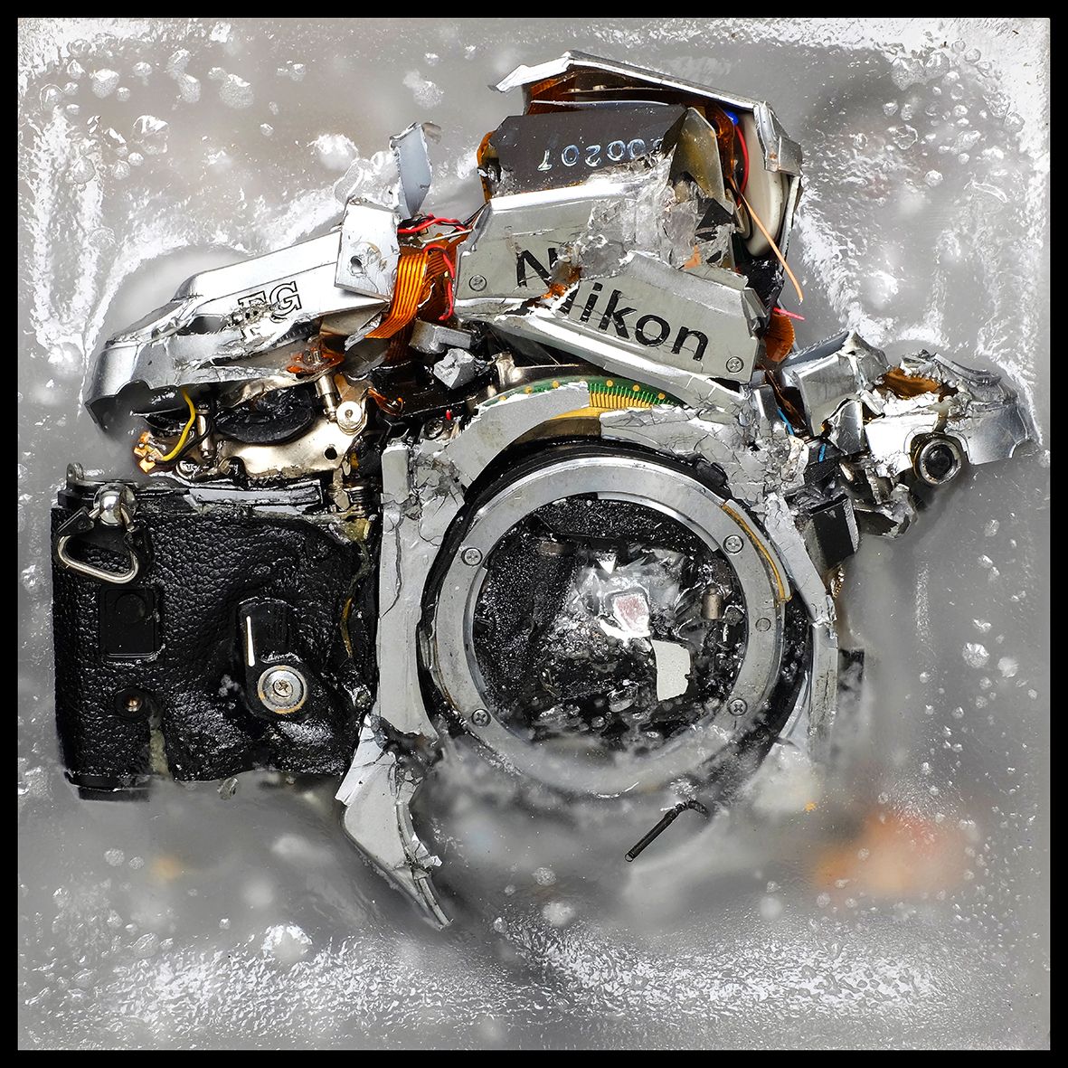 Nikon FG 00207 DSCF5088 (1).jpg