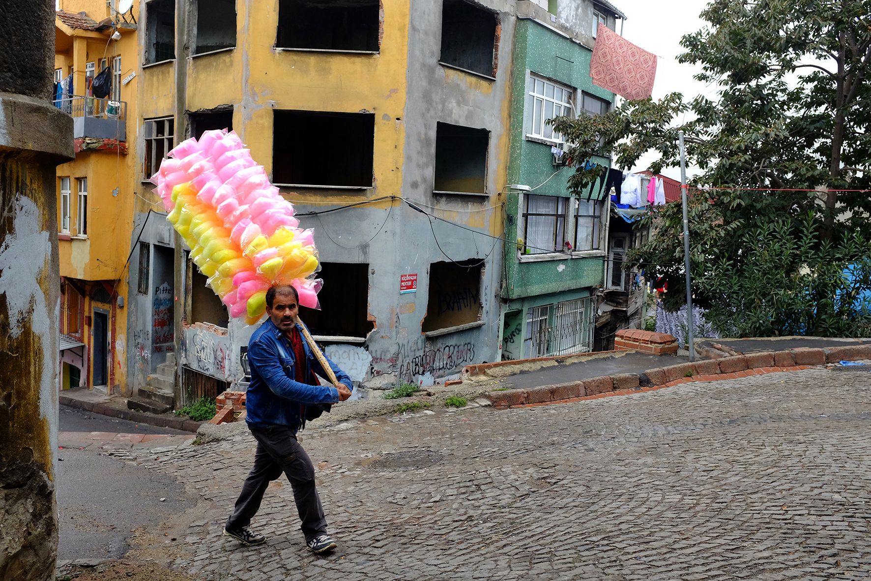 Pink and Yellow Sponges DSCF9146.jpg