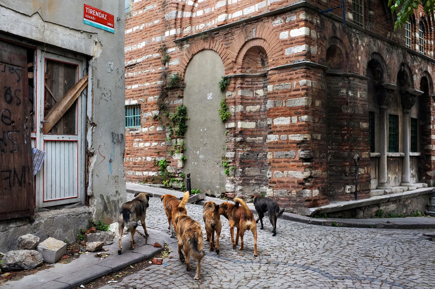 11-living_together_dscf3474