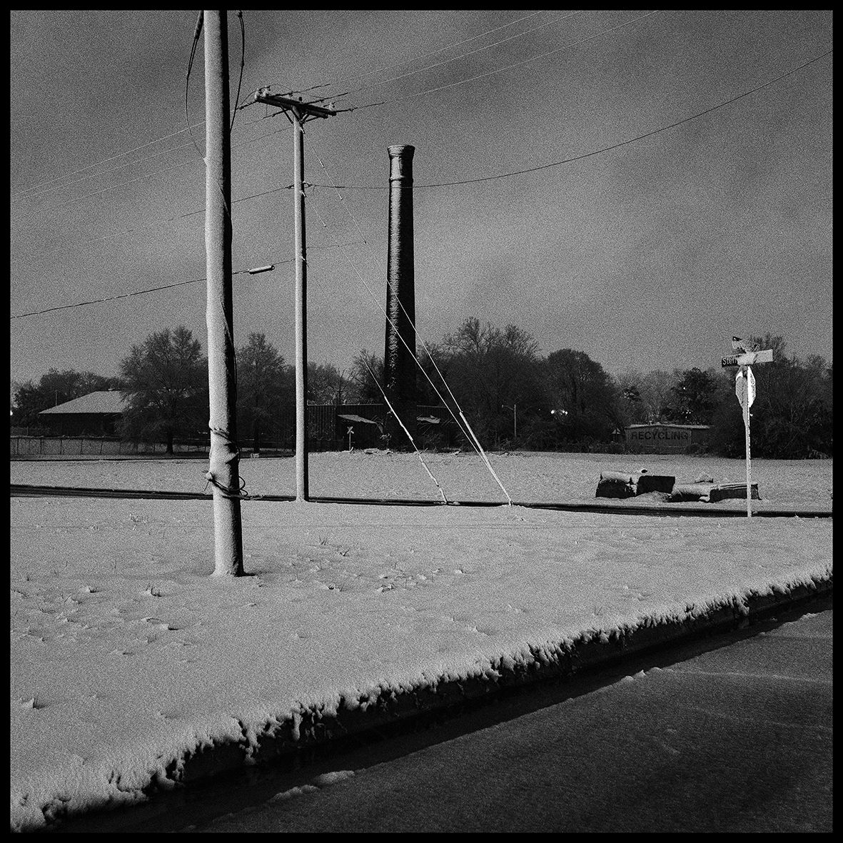 The Spirit of the Night LR DSCF1746.jpg