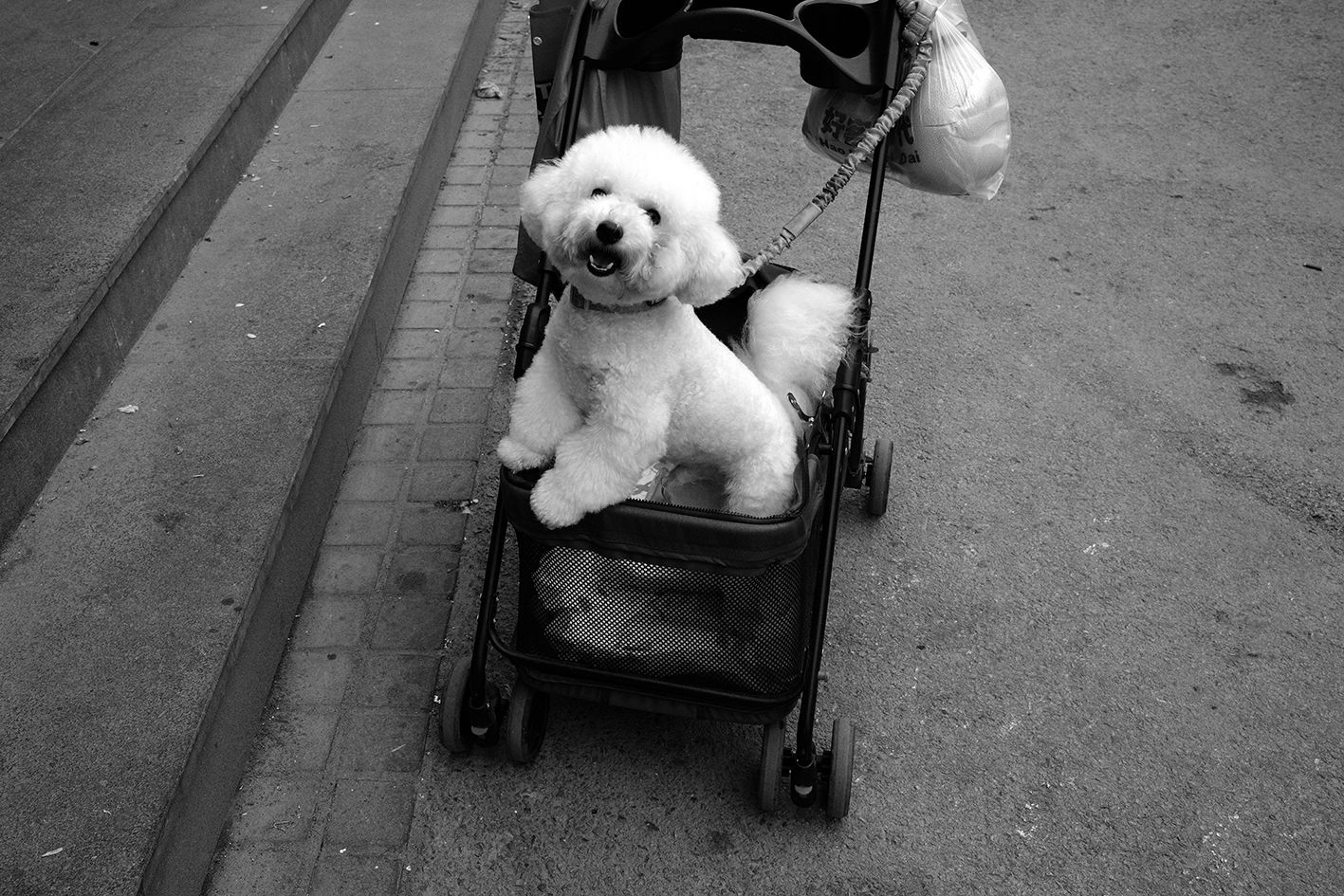 My Ride DSCF5021.jpg