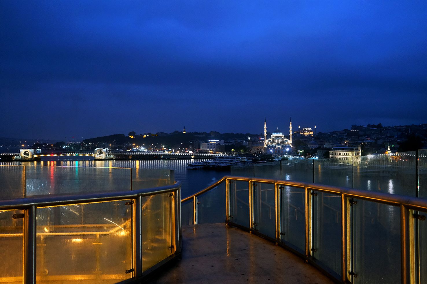 Raining Cats and Dogs DSCF9524.jpg