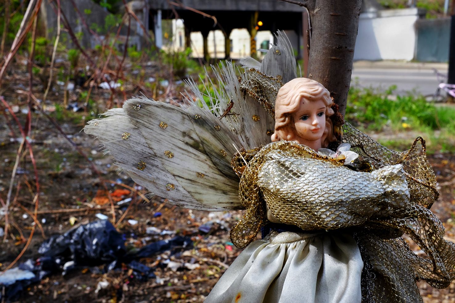 11-they_really_need_an_angel_dscf1660