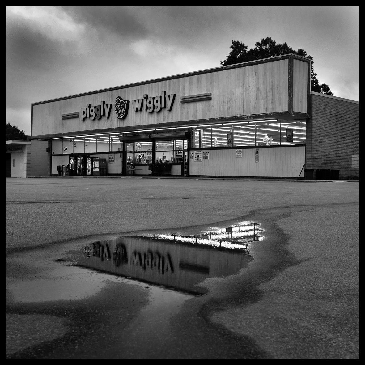 Piggly Wiggly DSCF5035.jpg