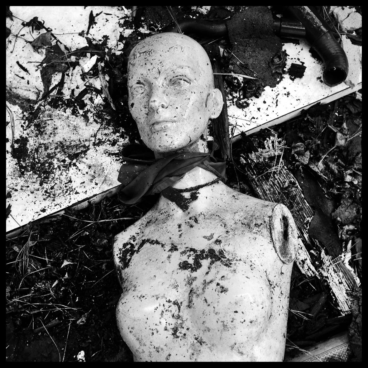 Sad Eyes DSCF6126.jpg