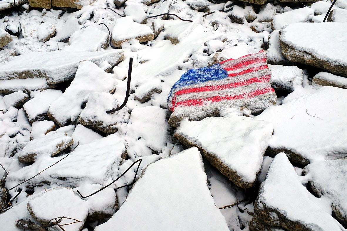 The Stars and Sripes DSCF7928.jpg