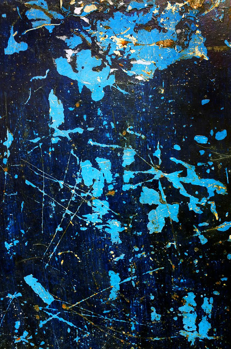 Flying Seagulls DSCF7520.jpg