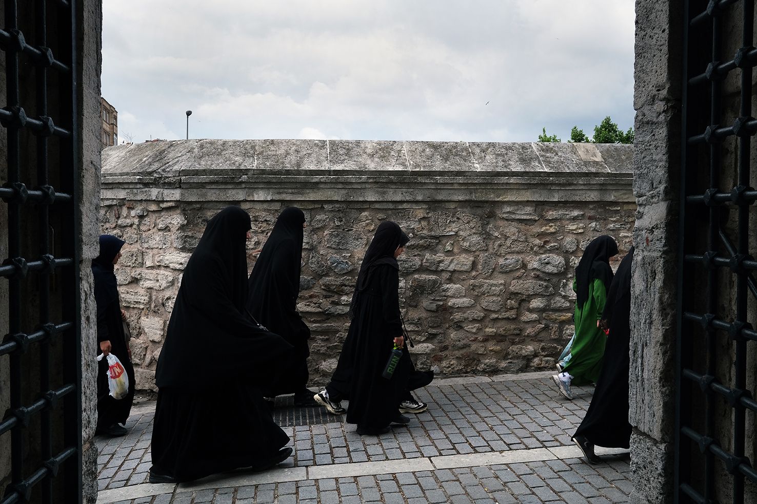 Going to Class DSCF5714.jpg