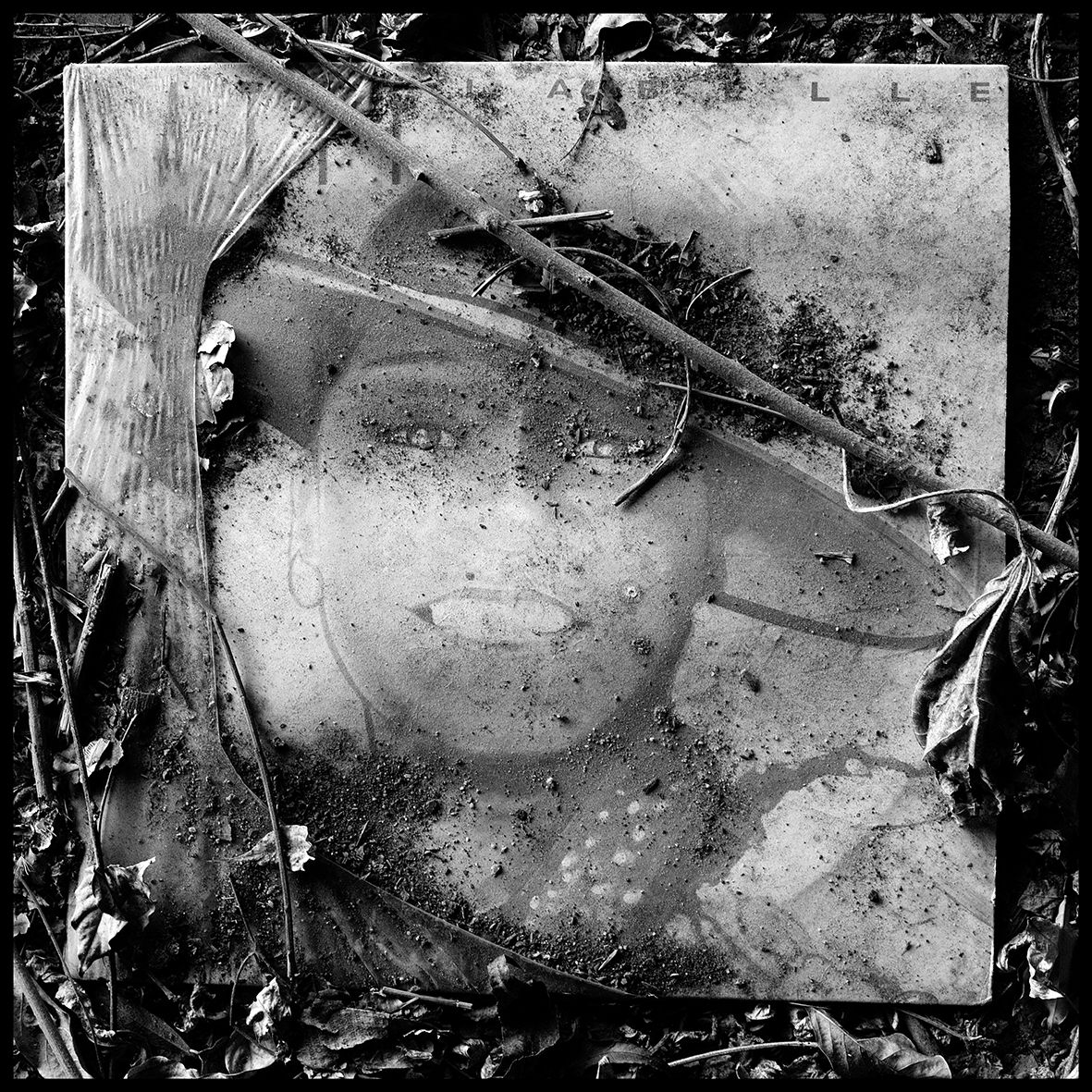 Patti LaBelle DSCF3333.jpg