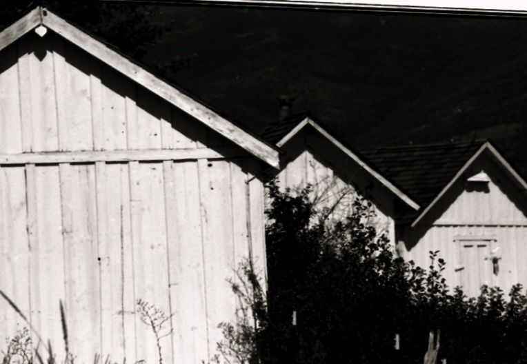 All fine art photographs can be purchased at the Photo Dog Art Gallery on Block Island, RI or email me at jill@warburtonphotography.comAll fine art photographs can be purchased at the Photo Dog Art Gallery on Block Island, RI or email me at jill@warburtonphotography.com 1scan0230.jpg