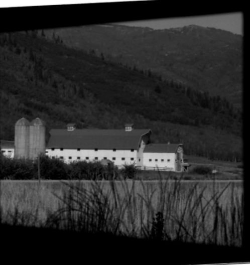 All fine art photographs can be purchased at the Photo Dog Art Gallery on Block Island, RI or email me at jill@warburtonphotography.com 1scan0231.jpg