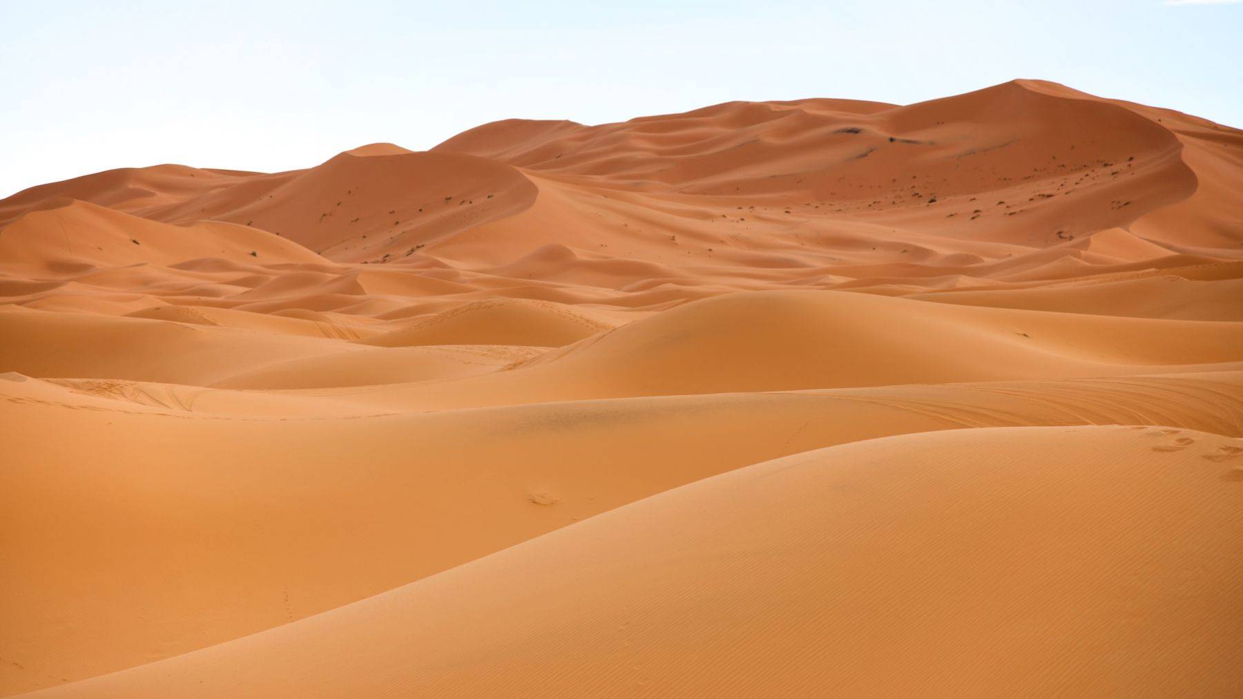 Sahara Desert, Morocco