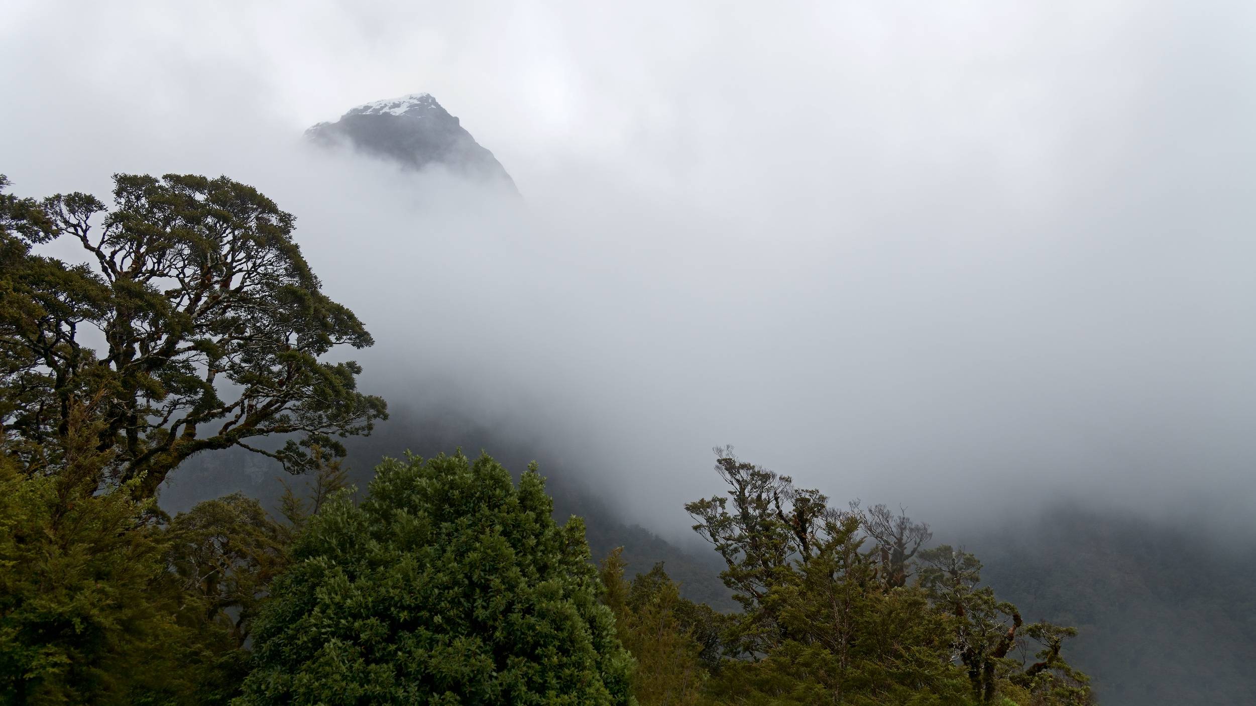 Milford Sound 