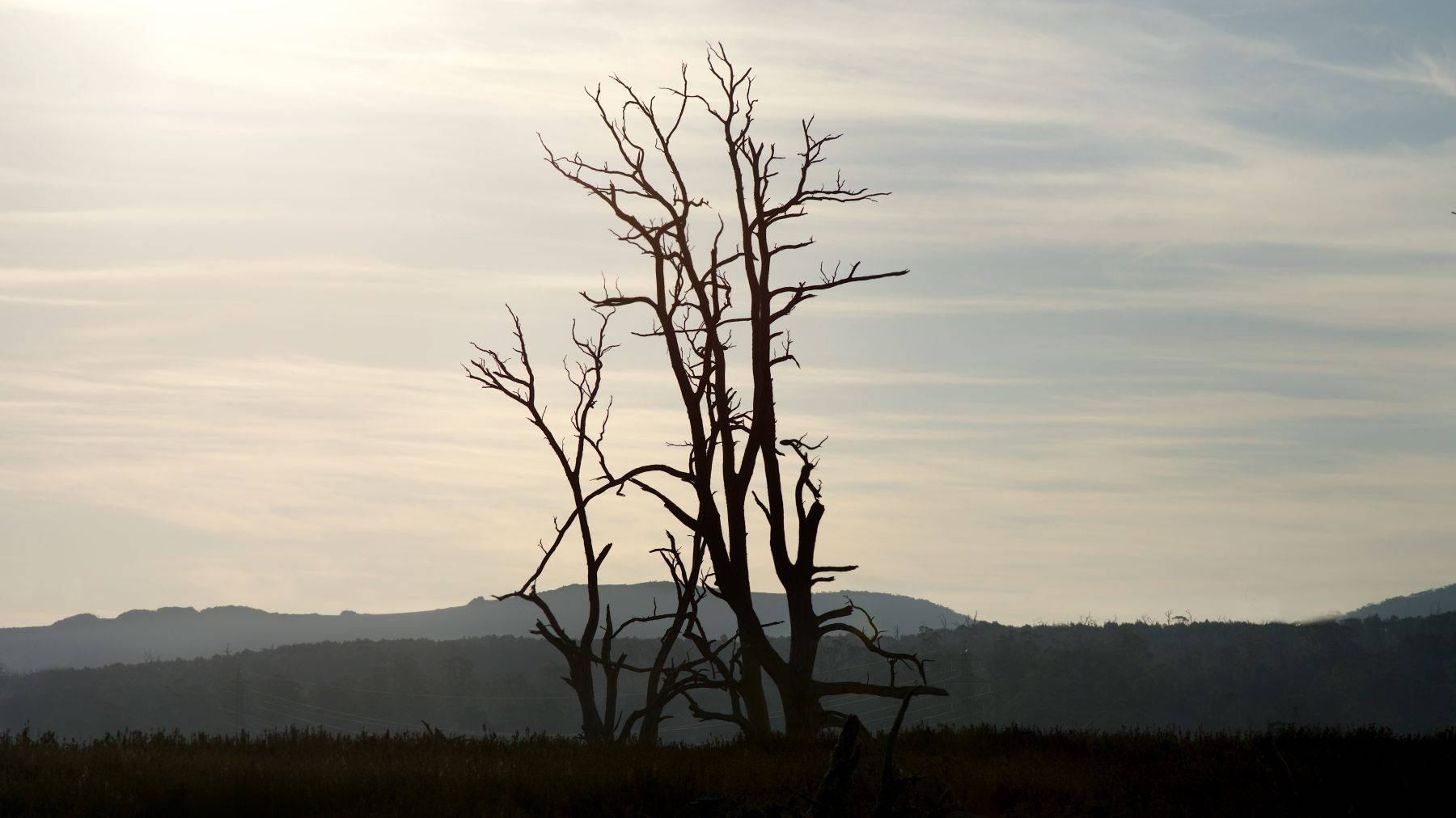 Tasmania Island, Australia