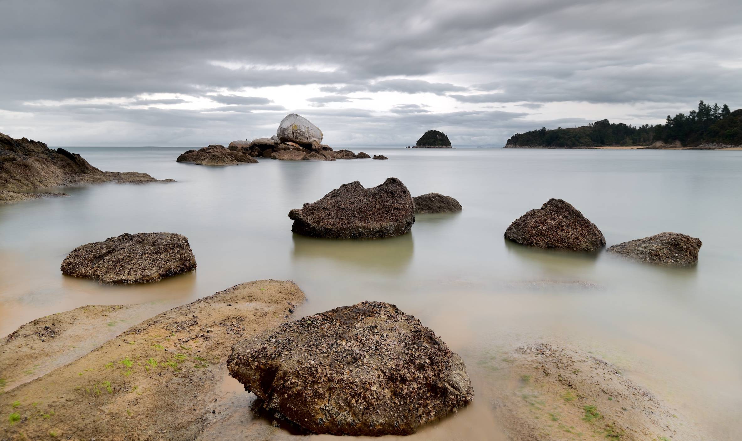 Split Apple, Able Tasman National Park  