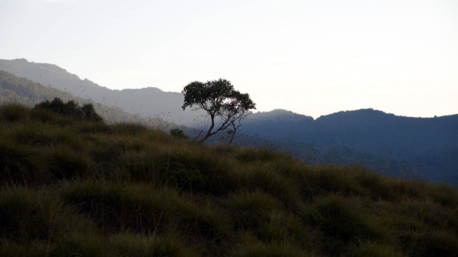 Tasmania Island, Australia