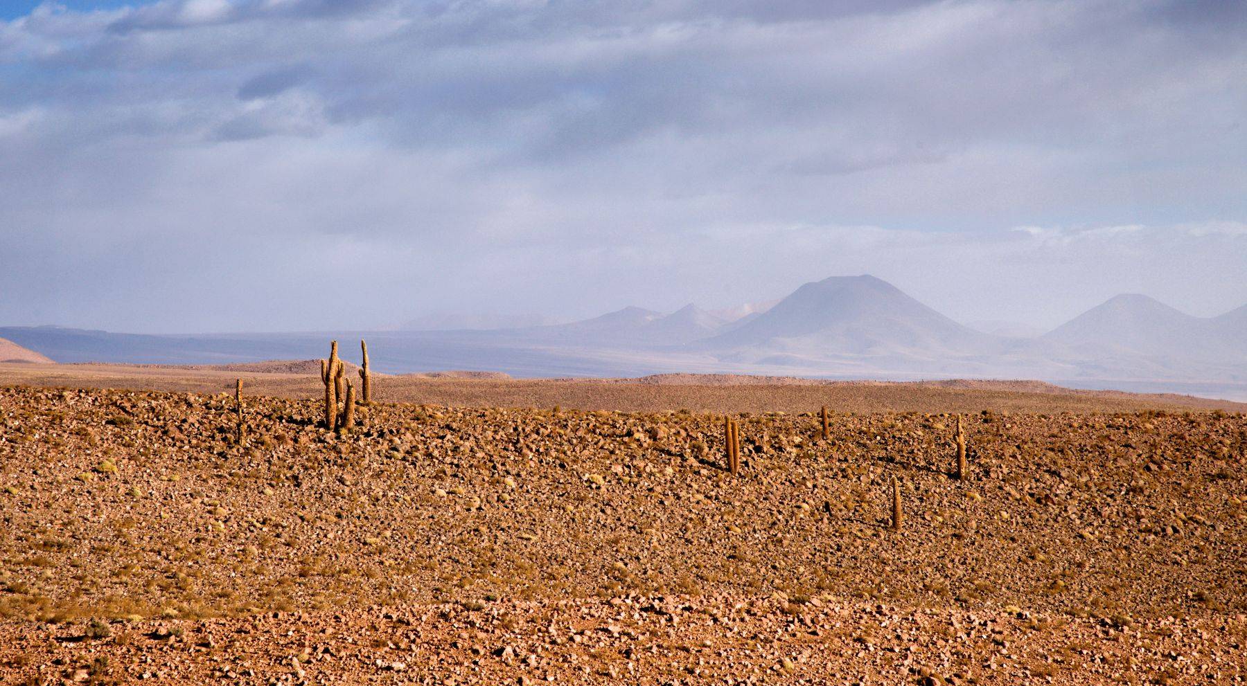Atacama Desert, Chile