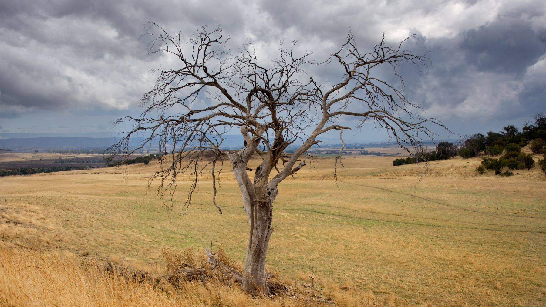 Tasmania Island, Australia