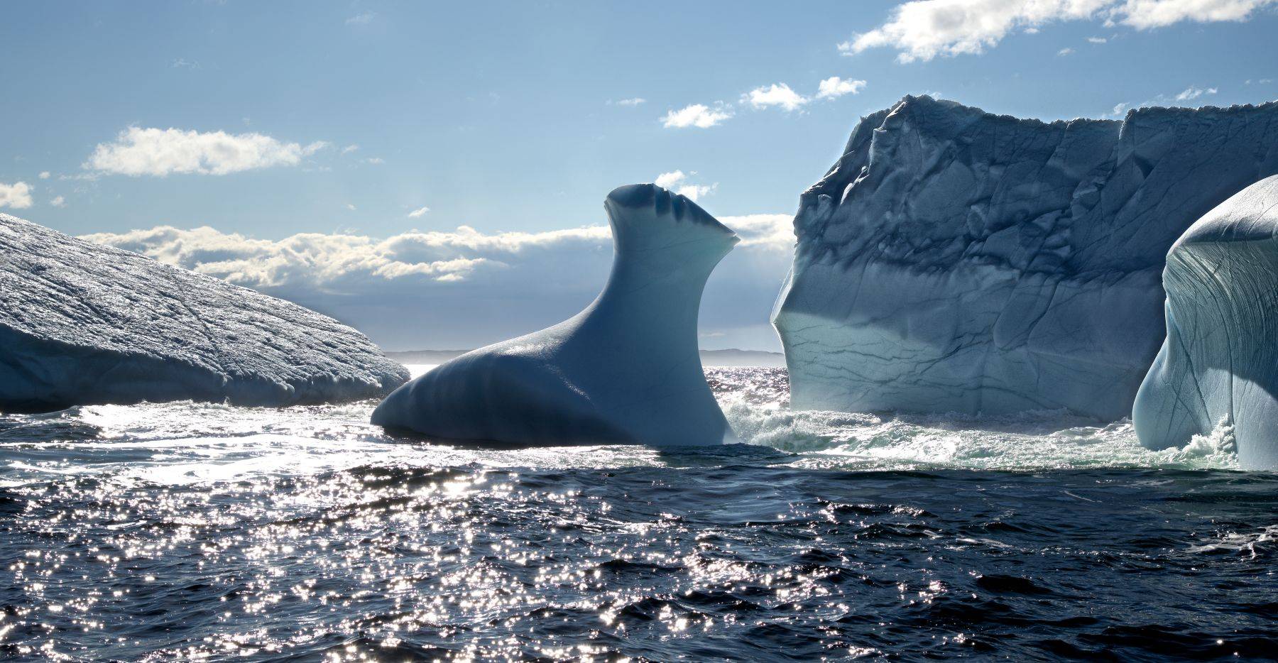 Iceberg Alley Fogo Island, Newfoundland Canada