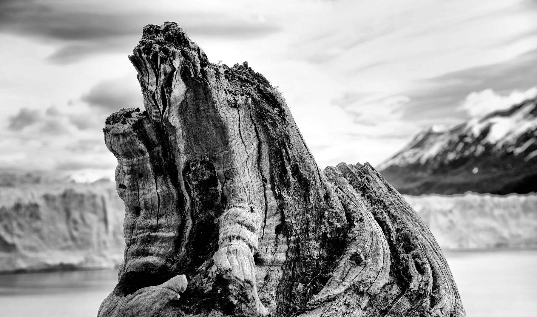 Perito Moreno Glacier, Argentina