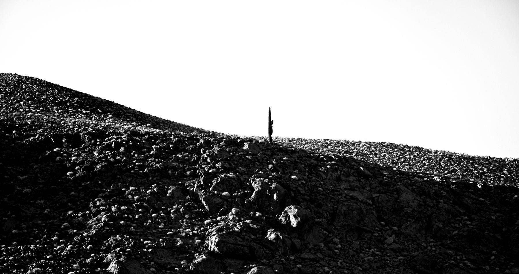 Atacama Desert, Chile