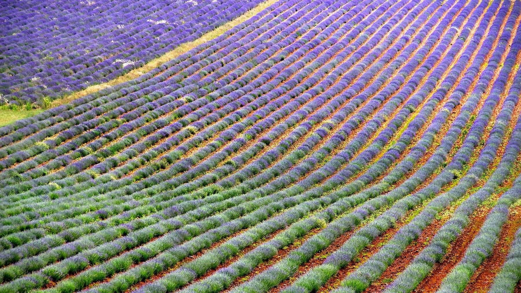 Provence France