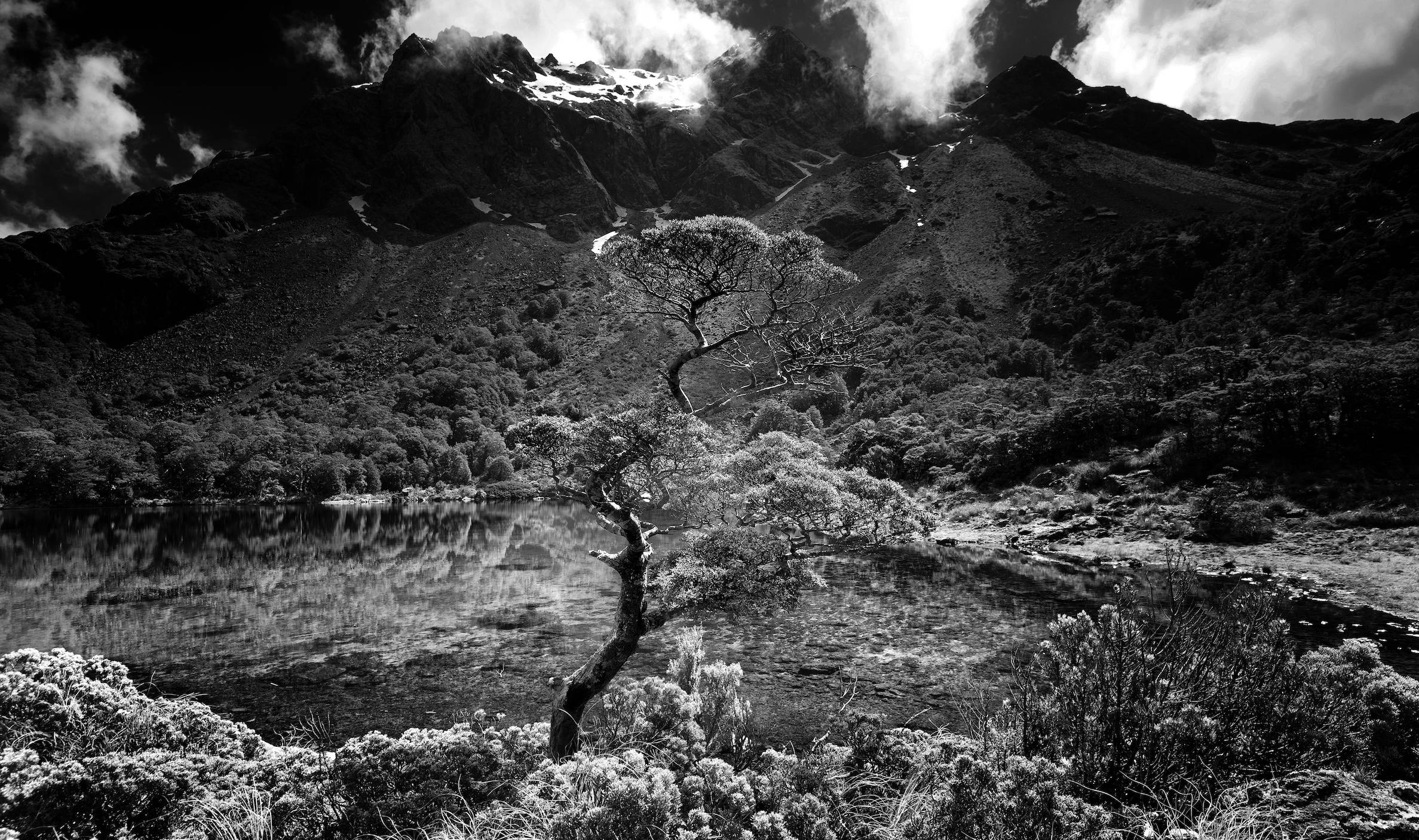 NewZeal  ETG Signature Heli Experience