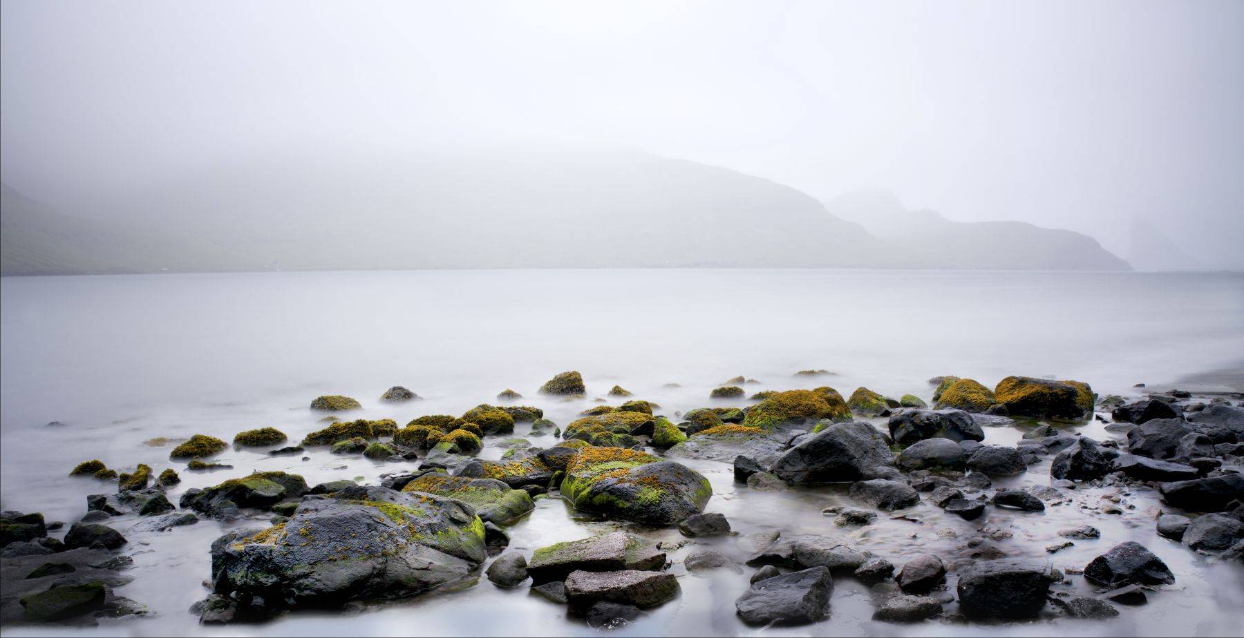 1ni8_8494___version_2__1_