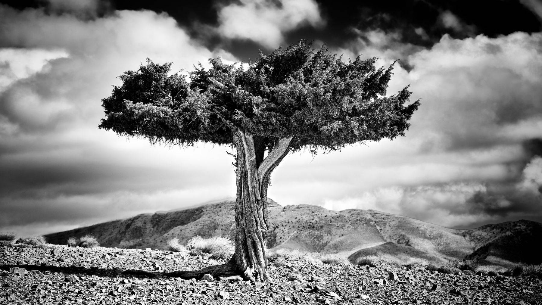 Morocco For more info click the Luxury Morocco Travel link