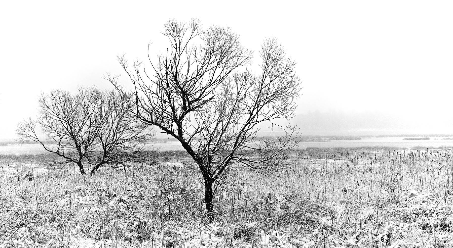 New England snow storm