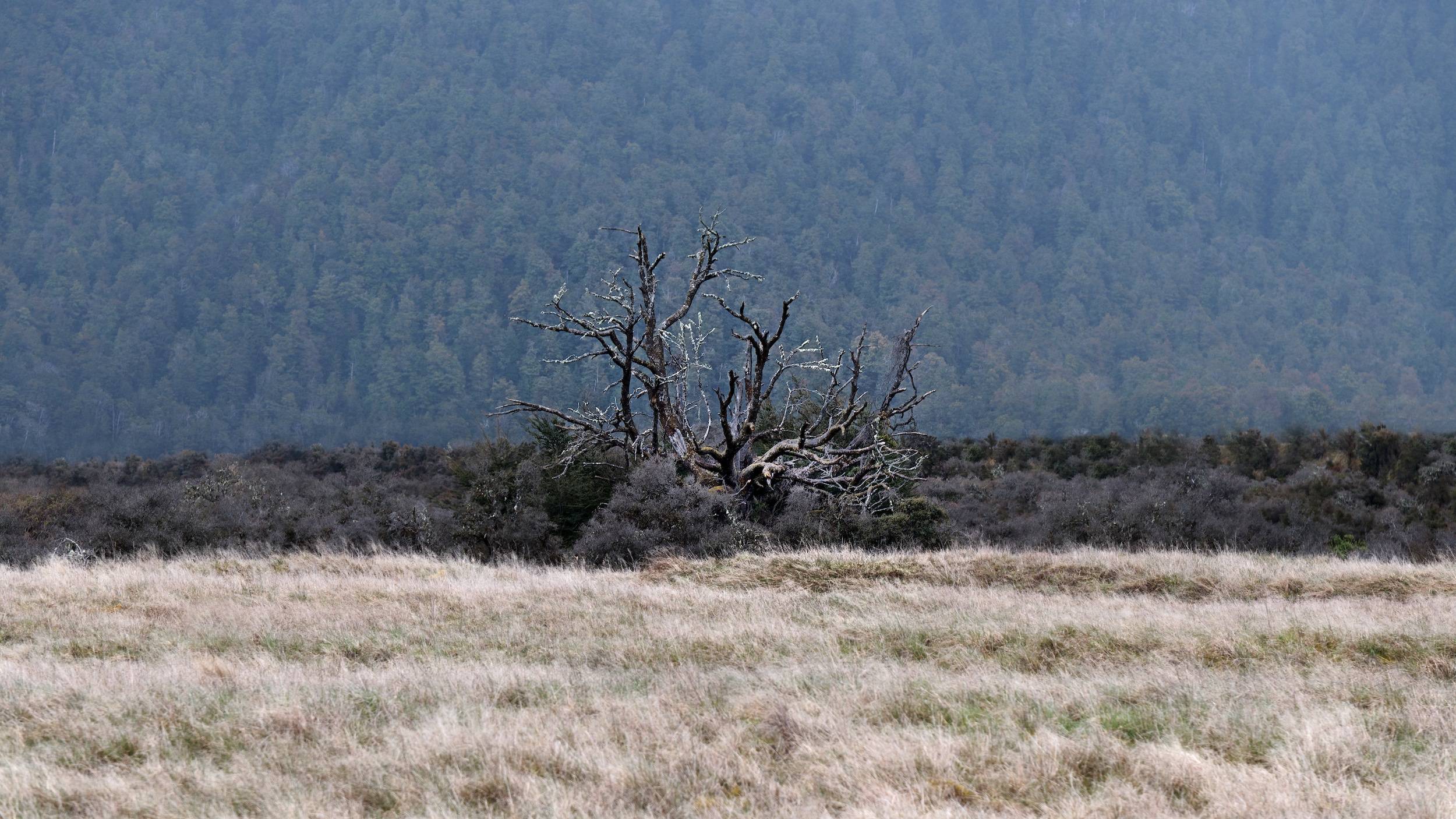Mount Cook National Park