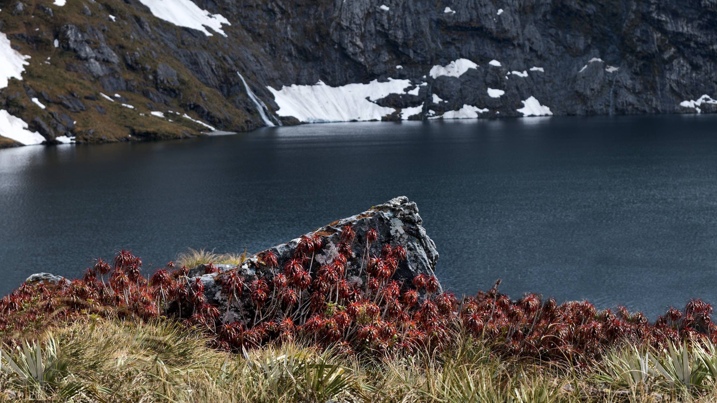Kepler Track Heli Hike