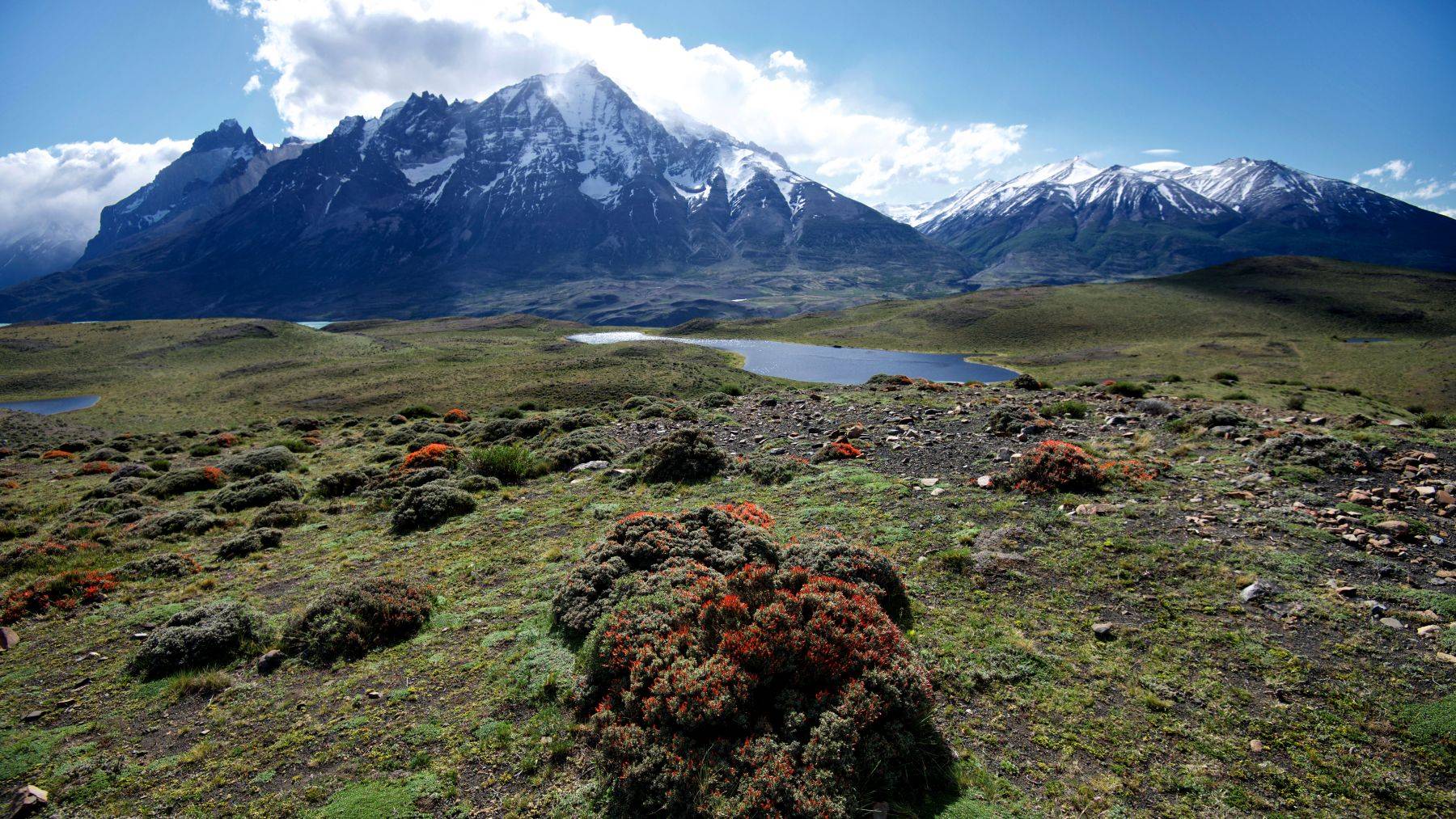 Torres del Paine, Patagonia Chile