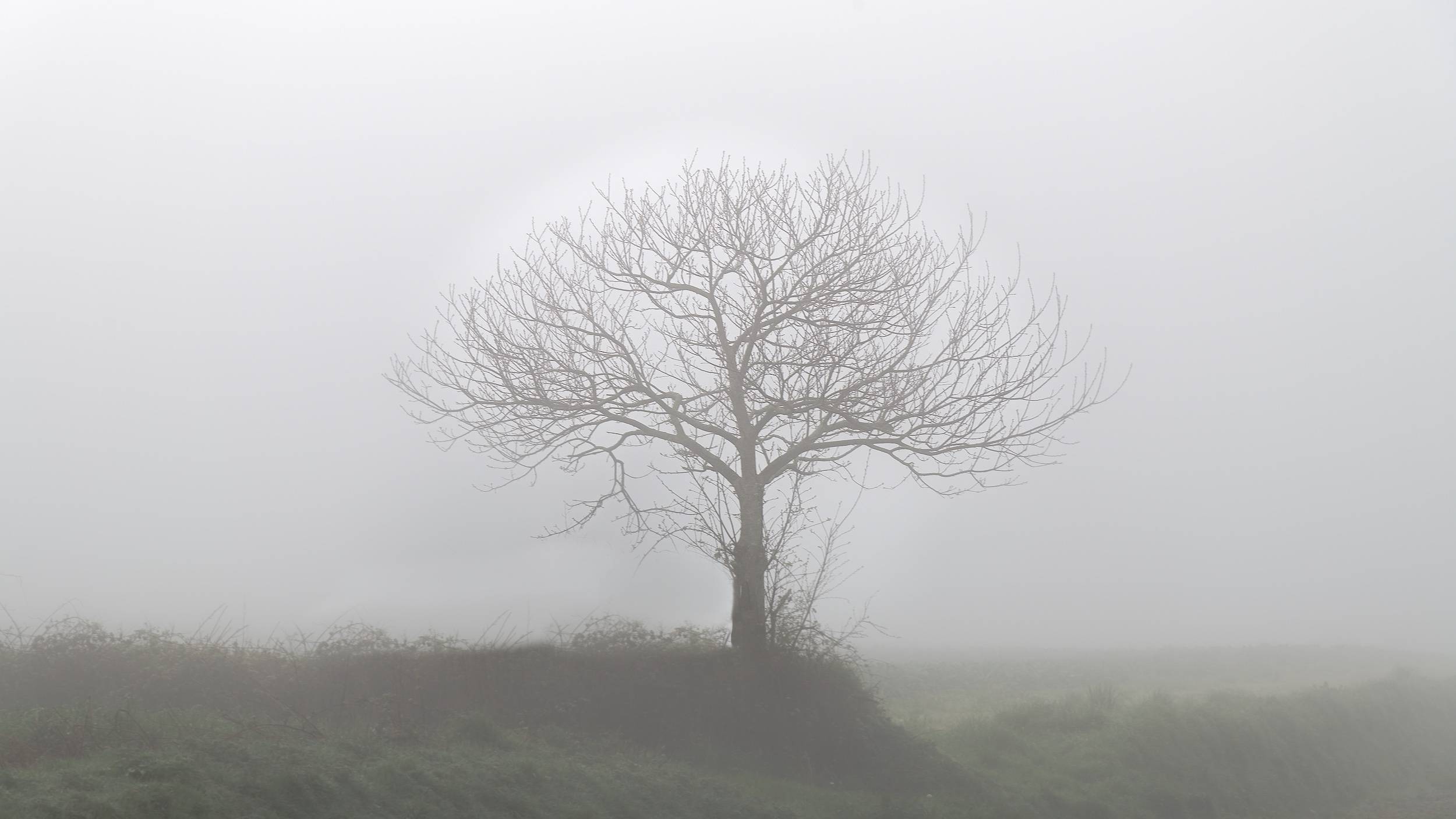 DSC_2551 - Version 3.jpg