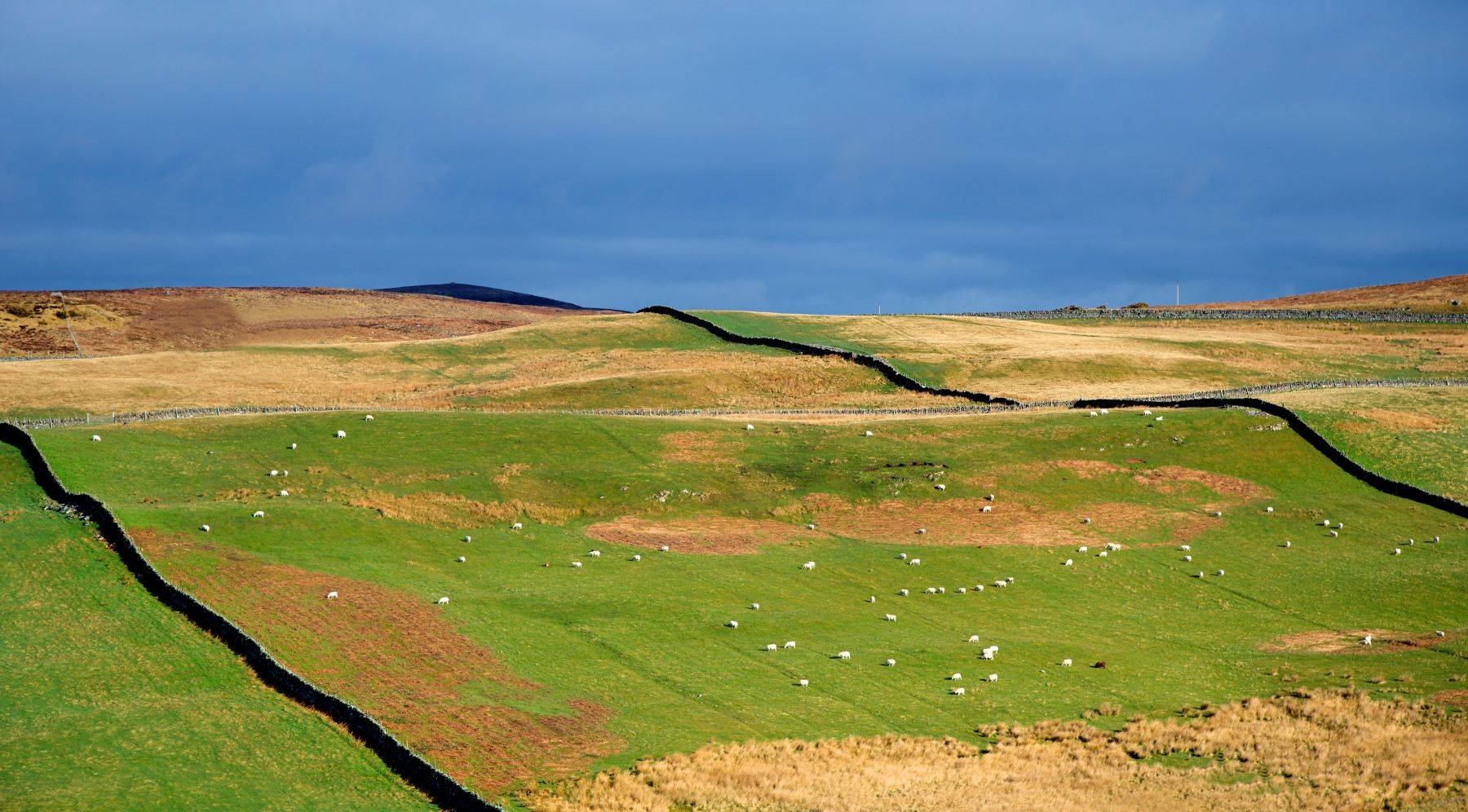 Scottish Highlands, Scotland
