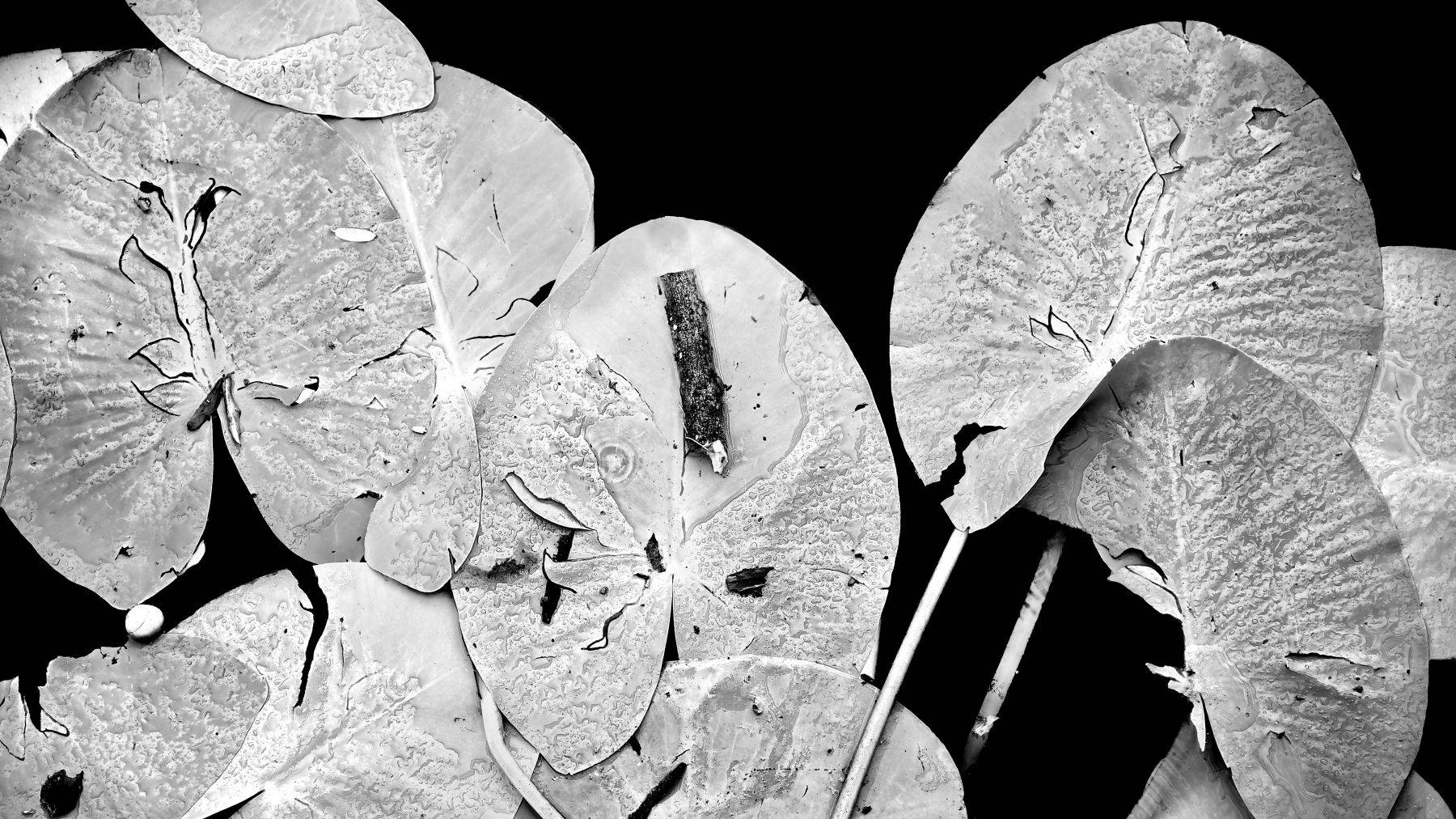 Lake Lugano, Switzerland