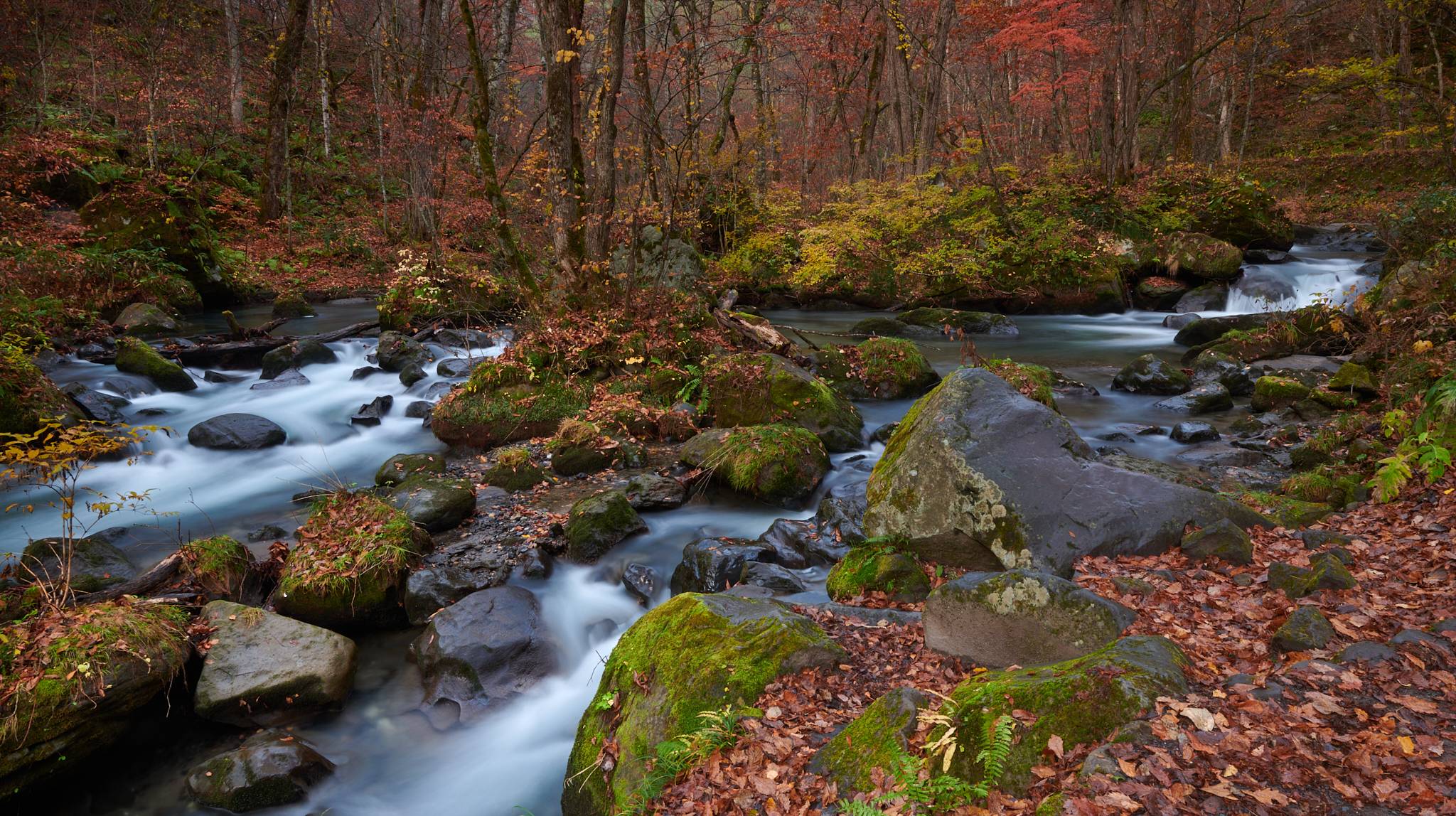 Oirase Gorge, Aomori