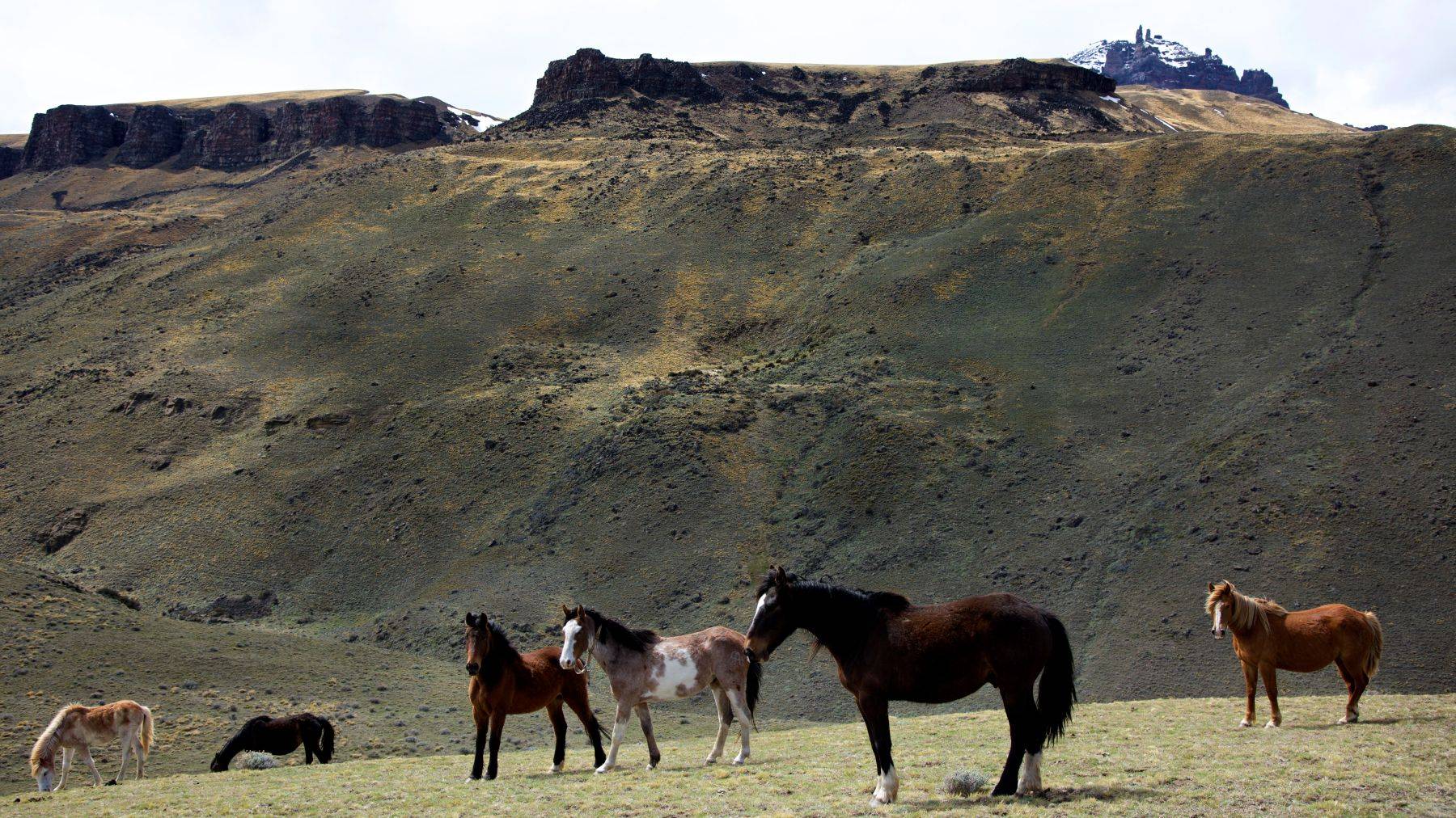 Torres del Paine, ChileF