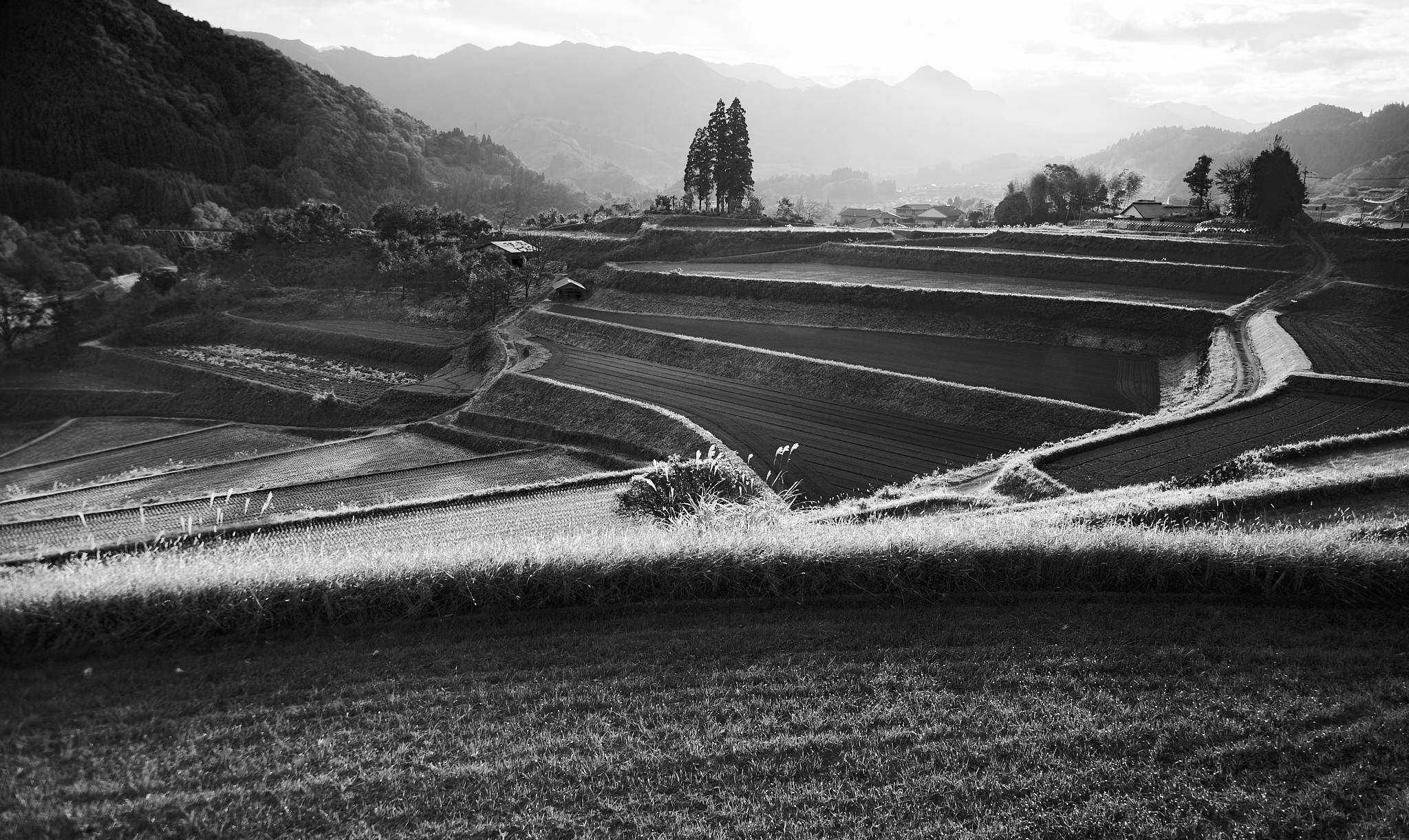 Tokubetto Rice Terraces, Kyushu