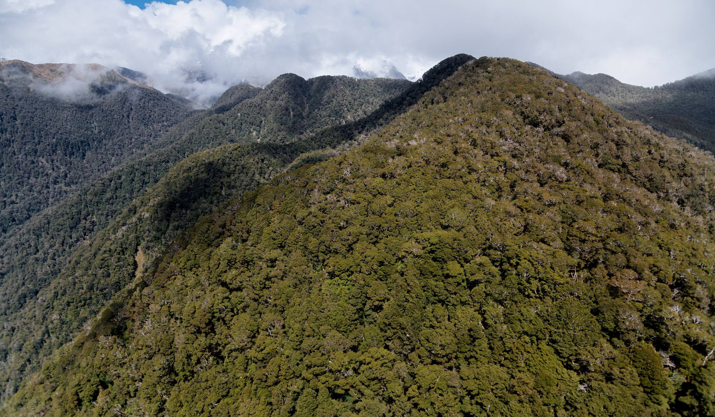 NewZeal  ETG Signature Heli Experience