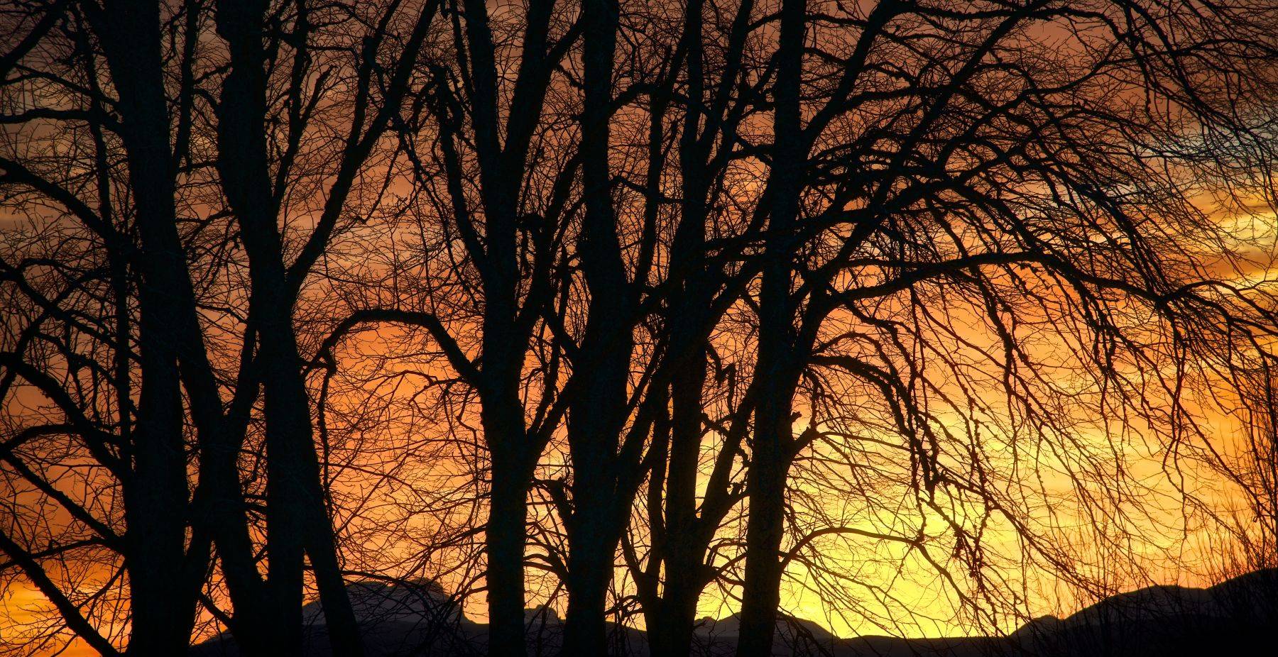 Isle of Skye, Scottish Highlands, Scotland