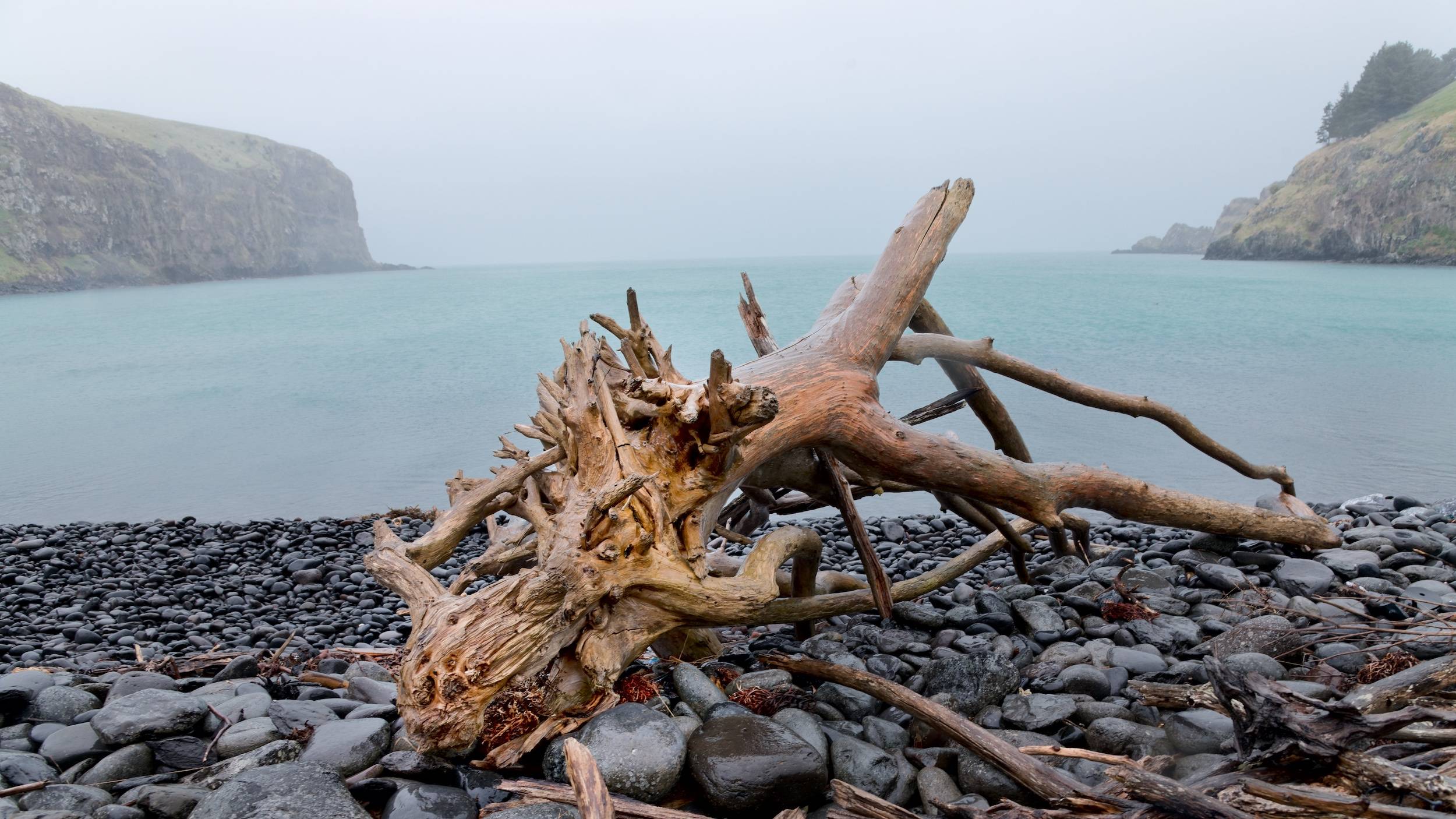 Scrubby Bay, Annandale 