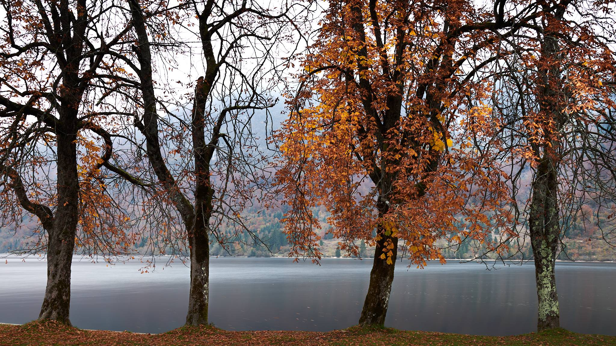 Lake Bohinj, Slovenia
